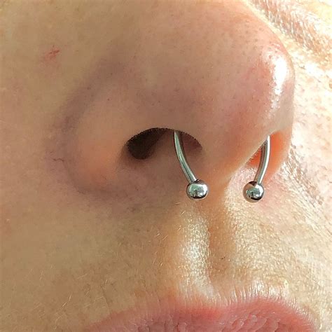 fake horse shoe septum